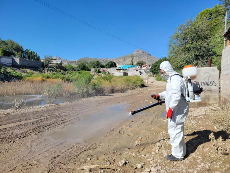 Nebulizan Anapra y Pánfilo Natera para reducir presencia de mosquitos