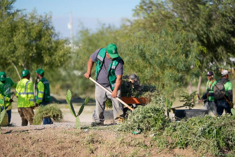 Partido Verde recupera 25 espacios públicos con jornadas de limpieza en Juárez