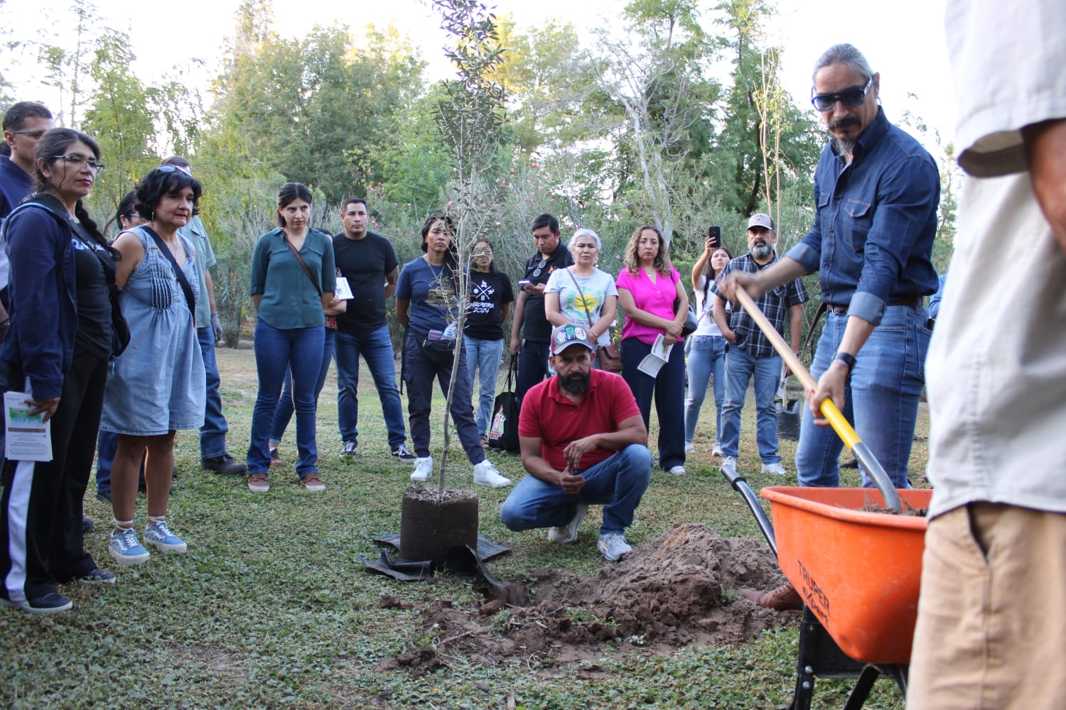 Recomiendan plantar mezquite, palo verde y huizache para ahorrar agua