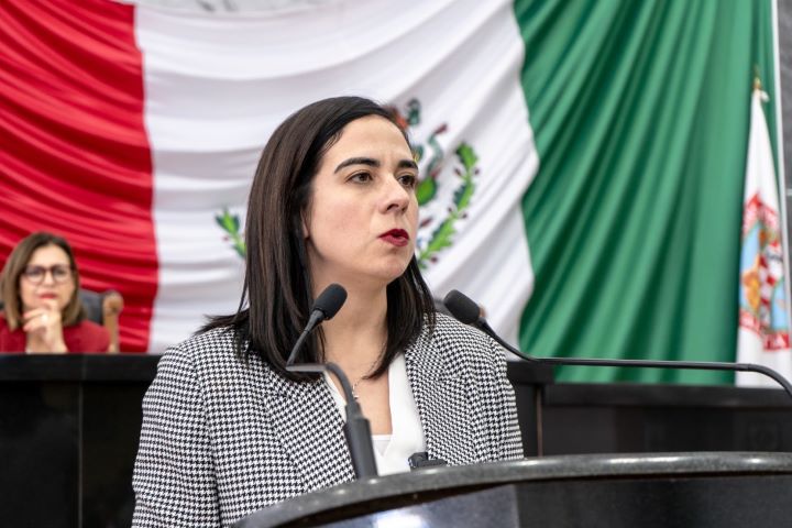 Llama Congreso a permitir regularización de comerciantes del Parque Borunda.