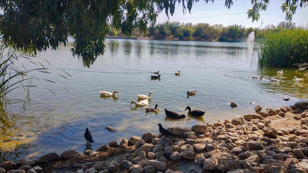 Mejoran instalaciones del Parque Central de Ciudad Juárez