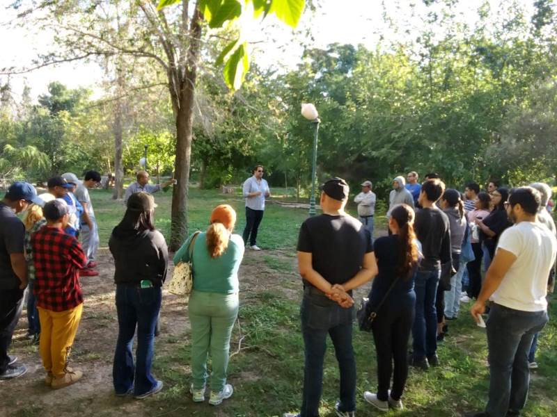 A trabajo comunitario conductores ebrios detenidos