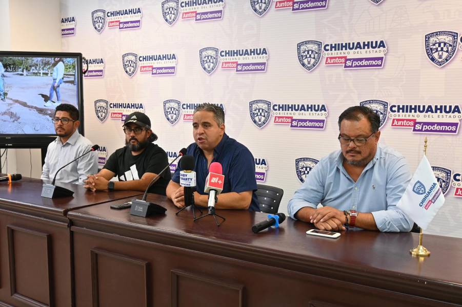 Realizarán torneo de baseball Halloween Slam Tornament 2023 en Parque Central