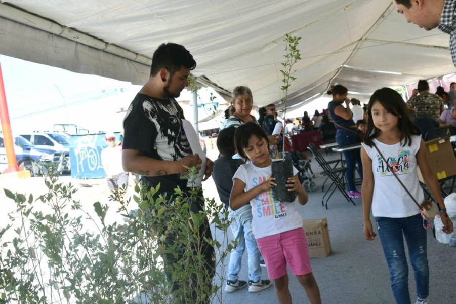 Donará Parques y Jardines 200 árboles en la colonia Estrella del Poniente