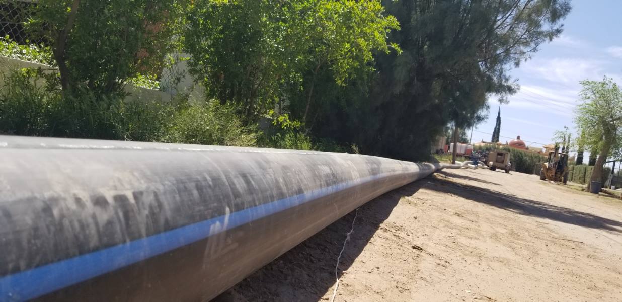 2023 el año del agua morada