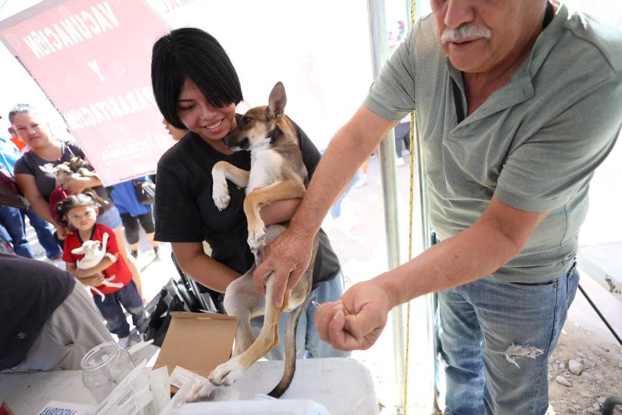 Vacunó Ecología a 400 mascotas en la Cruzada por Juárez