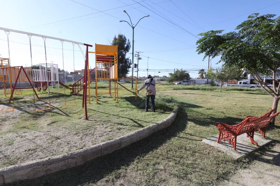 Anuncian Cruzada Nocturna en corredor comercial Pedro Rosales de León