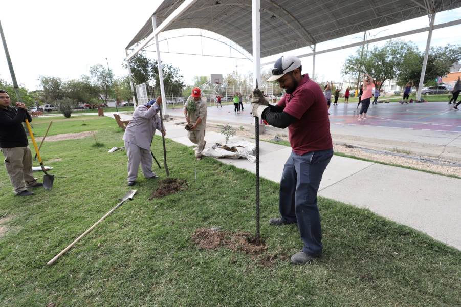 Reubican plantas y reparan juegos en el parque De la Familia