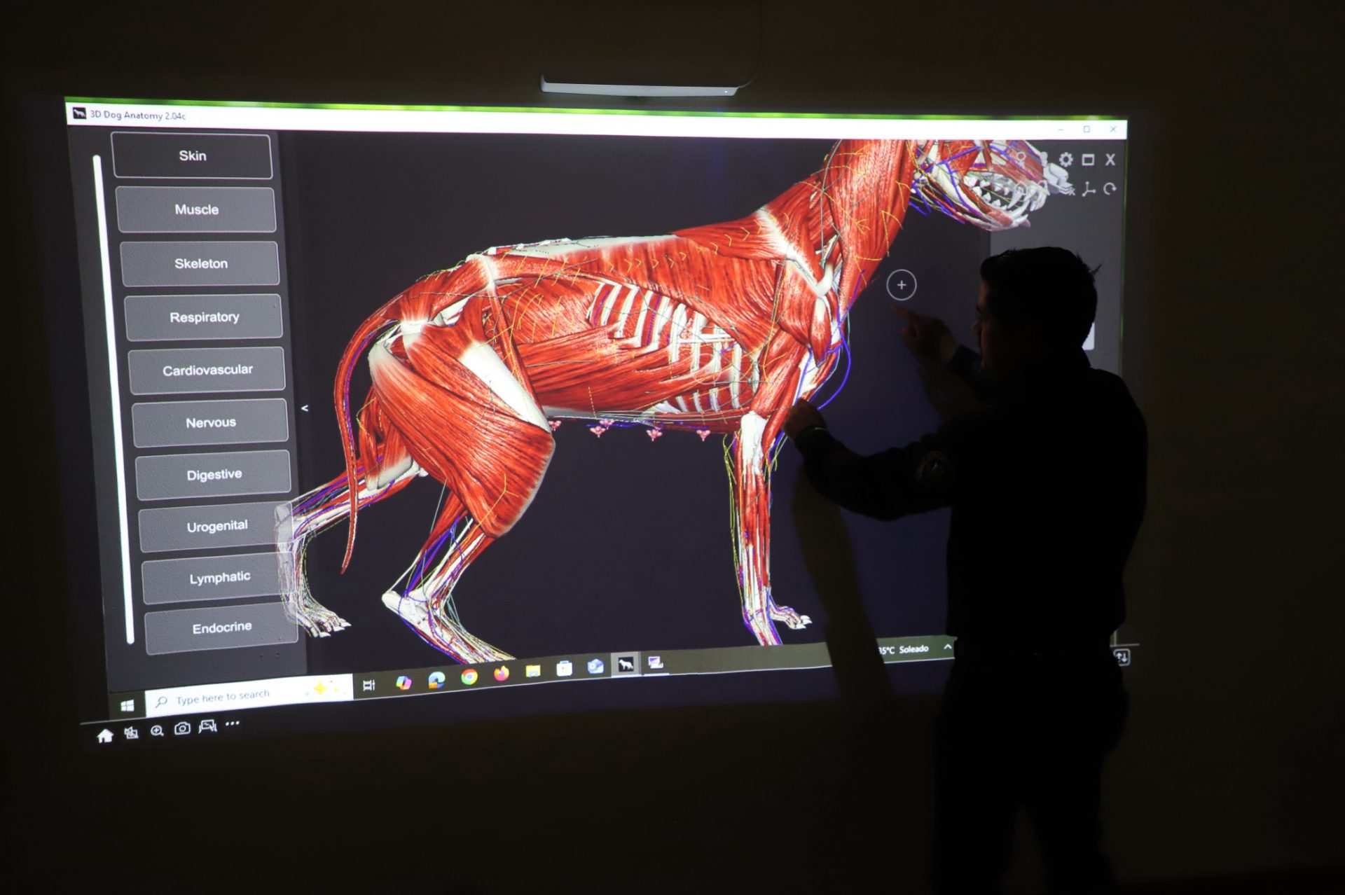 Entre la ética y la enseñanza, la UACJ privilegia el bienestar animal.