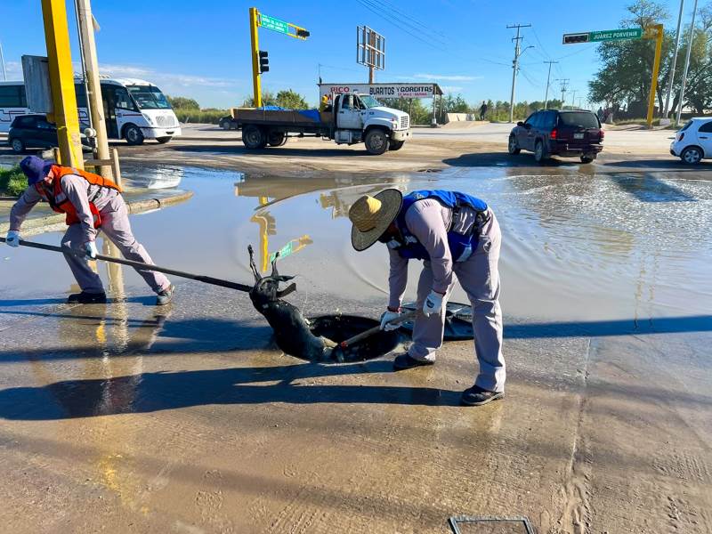 JMAS atiende brotes de aguas residuales en Juárez Porvenir
