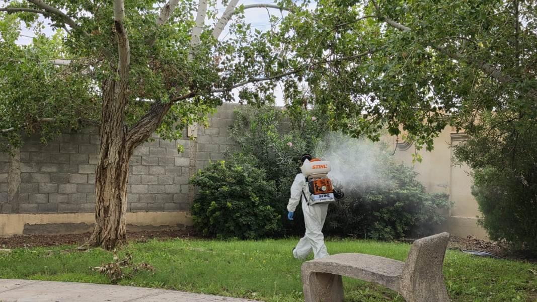 Ecología suma 40 nebulizaciones contra mosquitos y otros vectores en Juárez