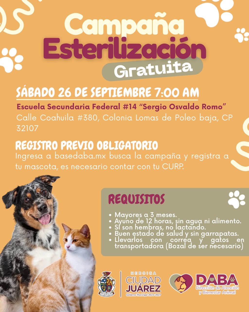 DABA realizará esterilizaciones gratuitas este fin de semana en Ciudad Juárez