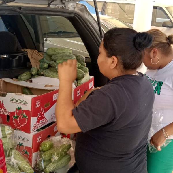 Reparten hortalizas para centros del DIF y personas vulnerables
