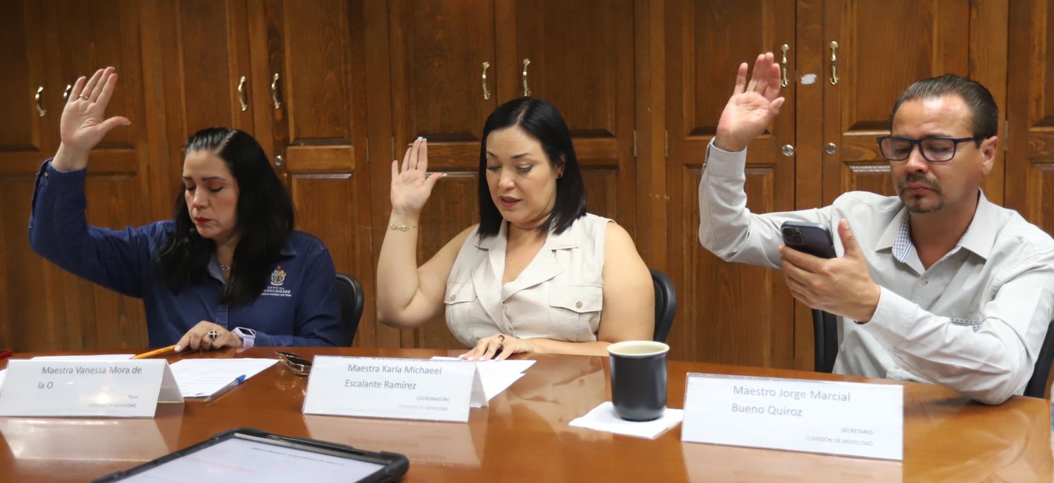 Regulará municipio instalación de cableados en la vía pública