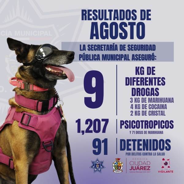 SSPM aseguró nueve kilos de droga y detuvo a 91 personas en agosto