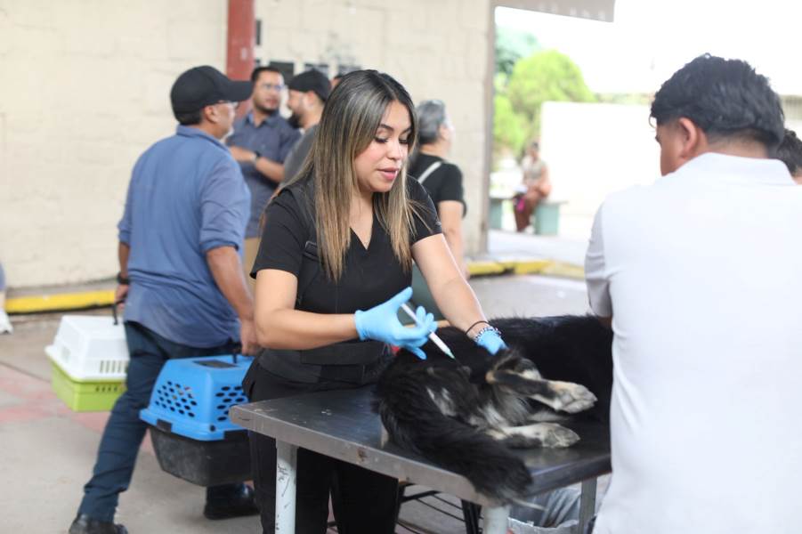 Alcalde asiste a jornada de esterilización en Secundaria Estatal 3002