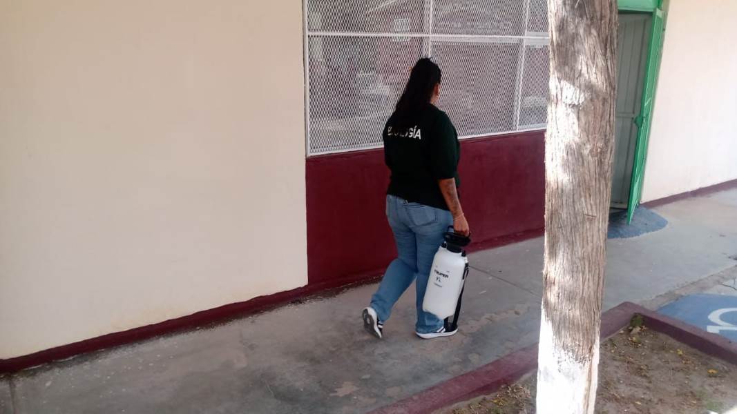 Fumigan 31 escuelas en menos de una semana en Ciudad Juárez