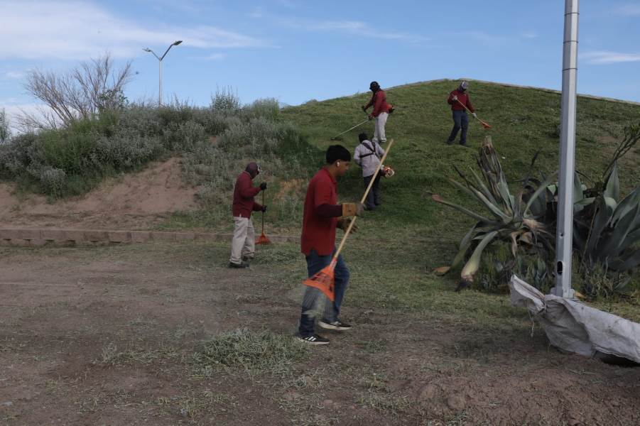 Realizan trabajos de mantenimiento en áreas verdes del fraccionamiento Jardines del Valle