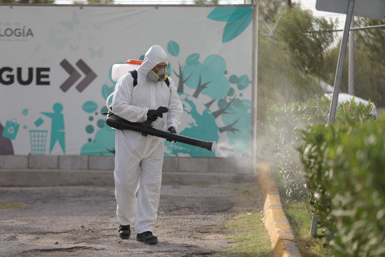 Ecología activó nebulización contra mosquitos tras las lluvias en Juárez