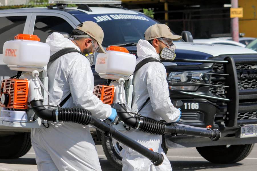 Ecología mantiene nebulizaciones contra mosquitos y otros vectores