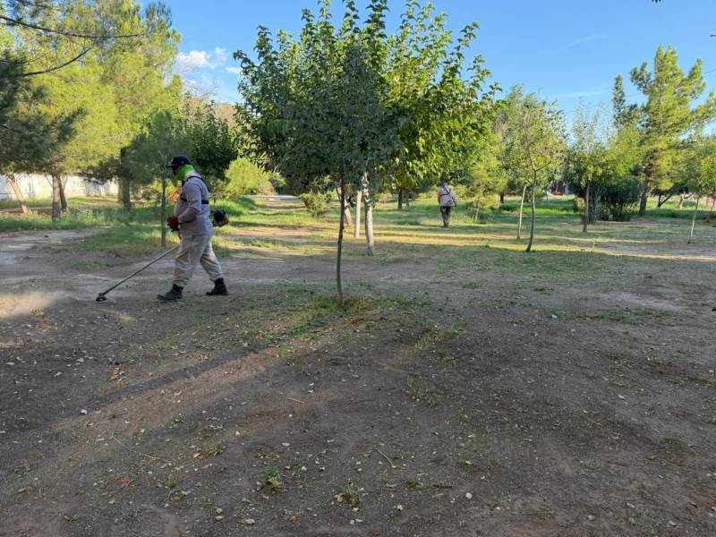 Realizan mantenimiento a parque del fraccionamiento Los Parques