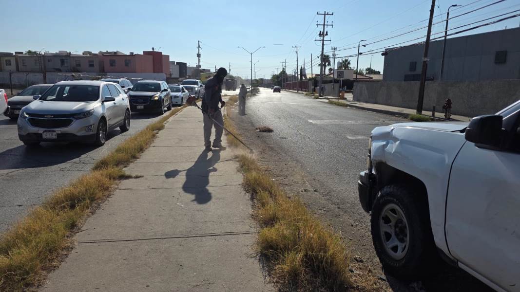Realizan limpieza y poda en camellón central de la Ramón Rivera Lara