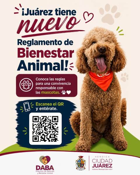 Entra en vigor nuevo Reglamento de Bienestar Animal en Ciudad Juárez