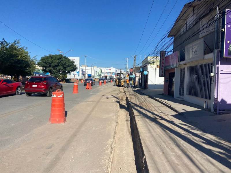 Avanza introducción de línea morada en la Pedro Rosales de león