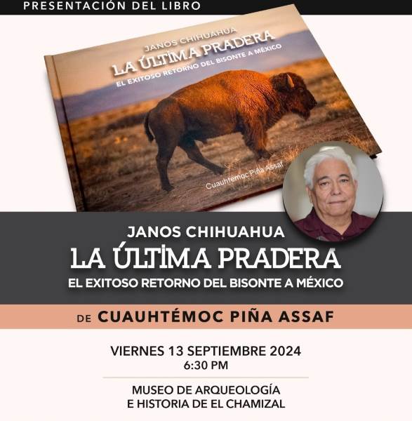Presentarán libro “La Última Pradera: El exitoso retorno del bisonte a México”