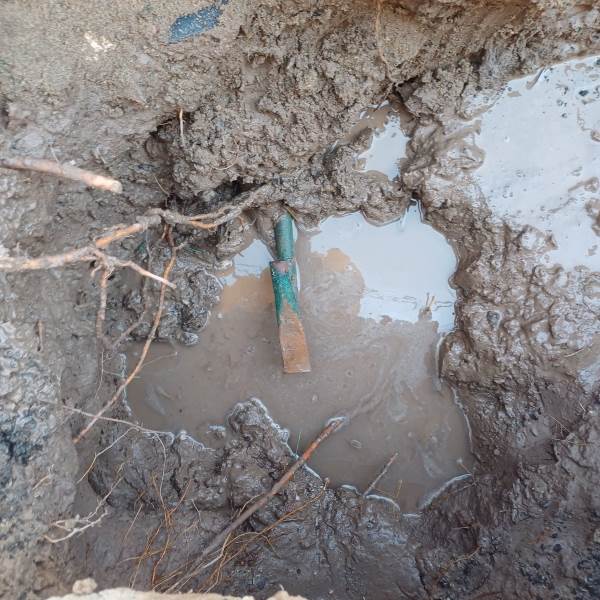 Los guardianes del agua de la J+ sancionan domicilio