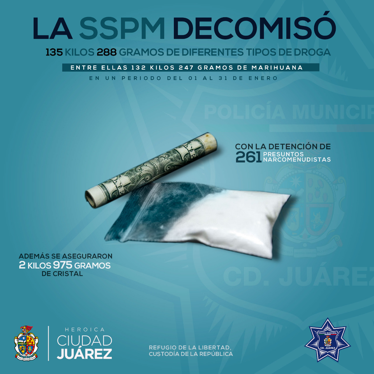 La SSPM decomisó más de 135 kilos de diferentes tipos de droga durante el mes de enero