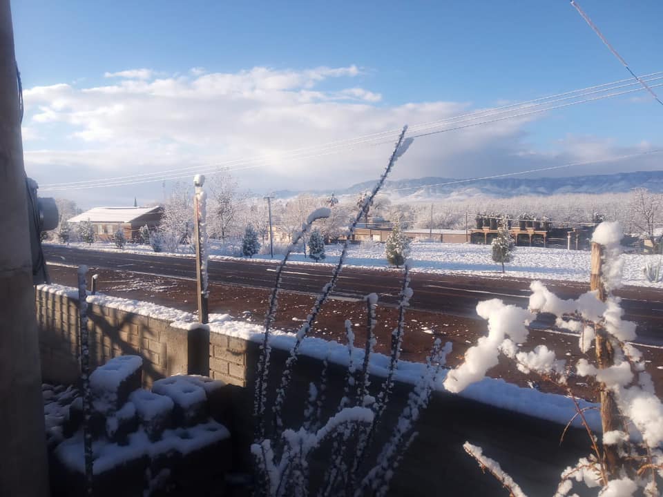 Piden continuar en alerta por clima gélido viernes y sábado